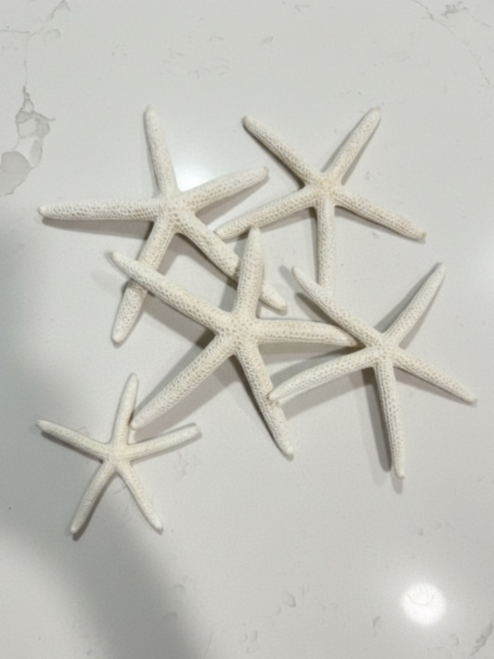Set/5 Decorative Starfish